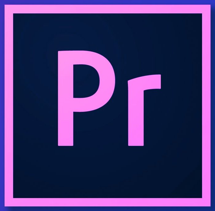 Adobe Premiere Pro 26.0.1 2026